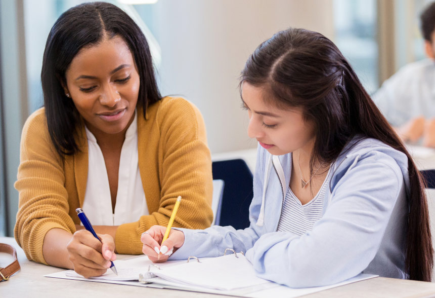 The role of a private tutor